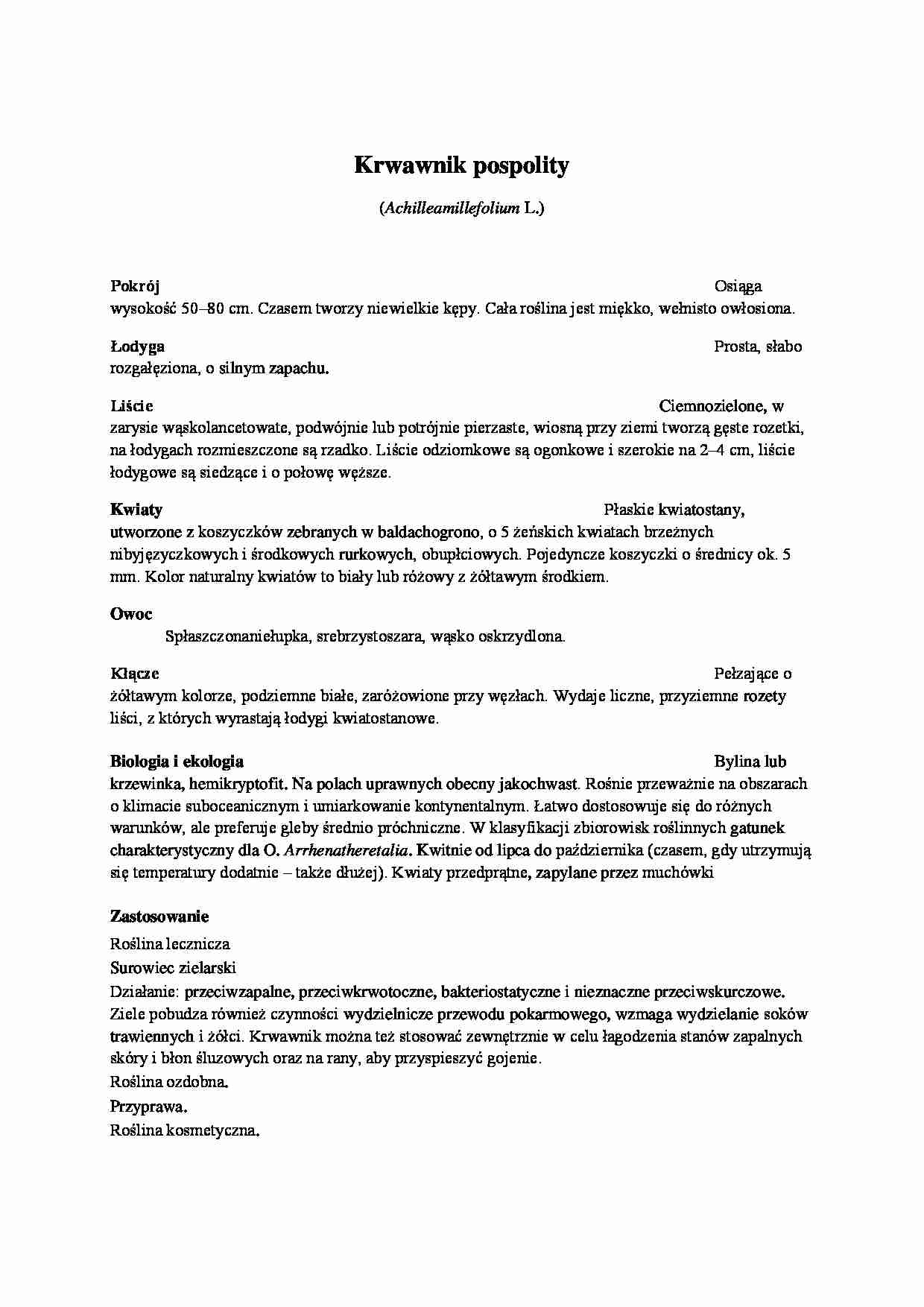 Krwawnik pospolity - zielnik - strona 1