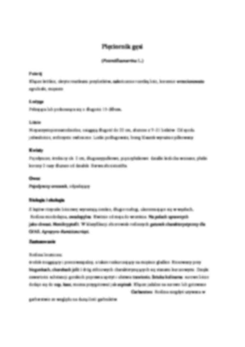 zielnik -Pięciornik złoty i pięciornik gęsi - strona 2