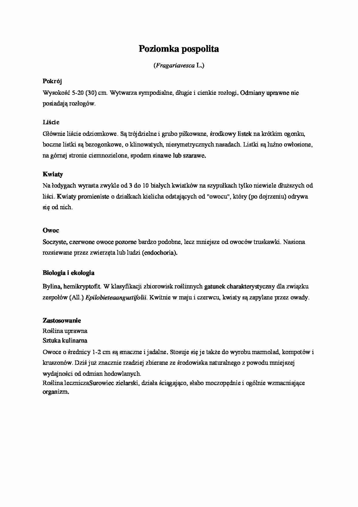 zielnik -Poziomka pospolita - strona 1