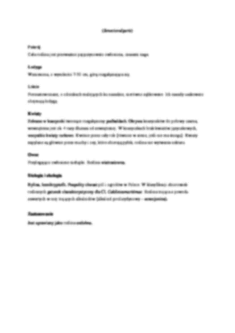 zielnik -Starzec górski i starzec zwyczajny - strona 2