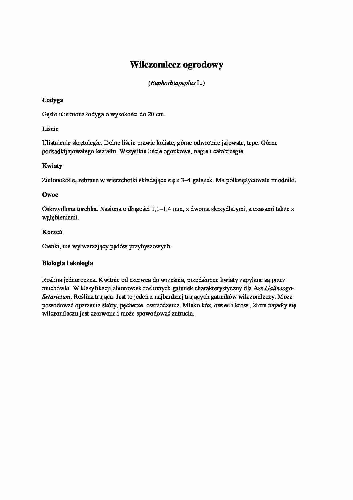 zielnik -Wilczomlecz ogrodowy - strona 1