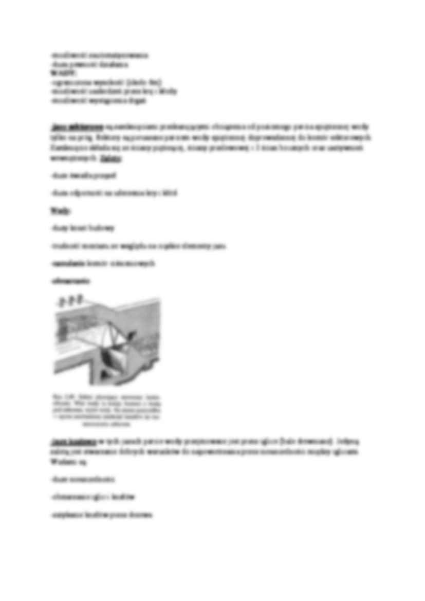 Różne rodzaje jazów - prezentacje - strona 2