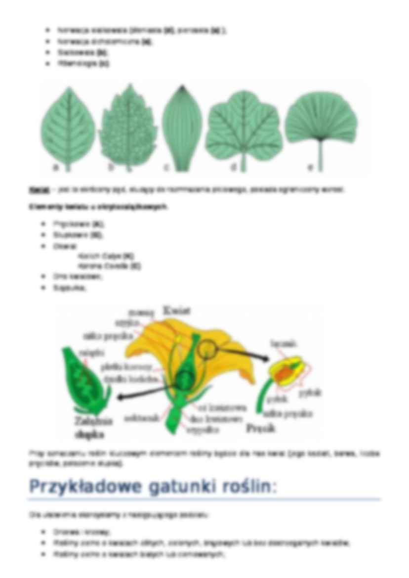 Wprowadzenie do ćwiczenia o liściach - strona 3