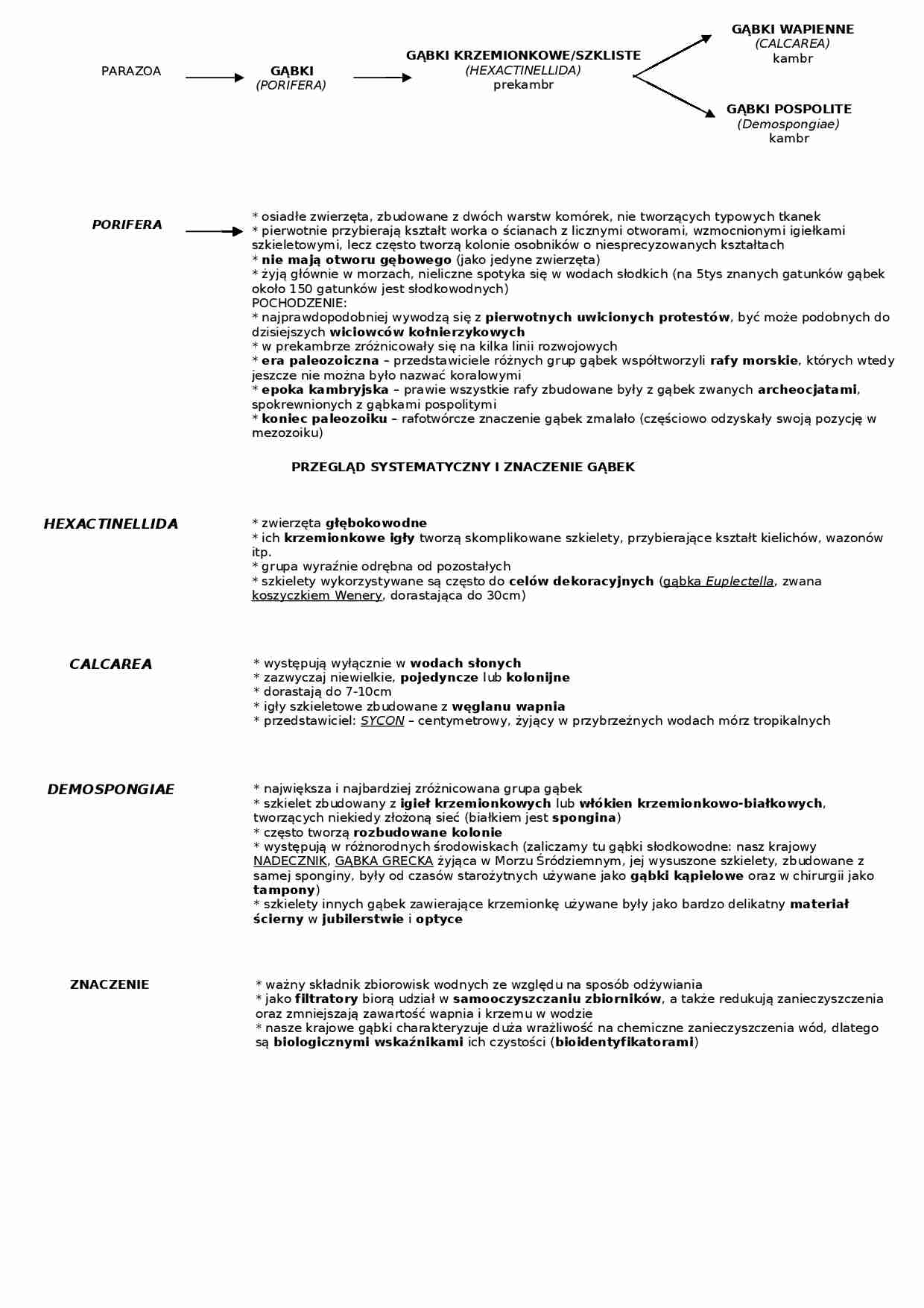 Gąbki - omówienie - strona 1