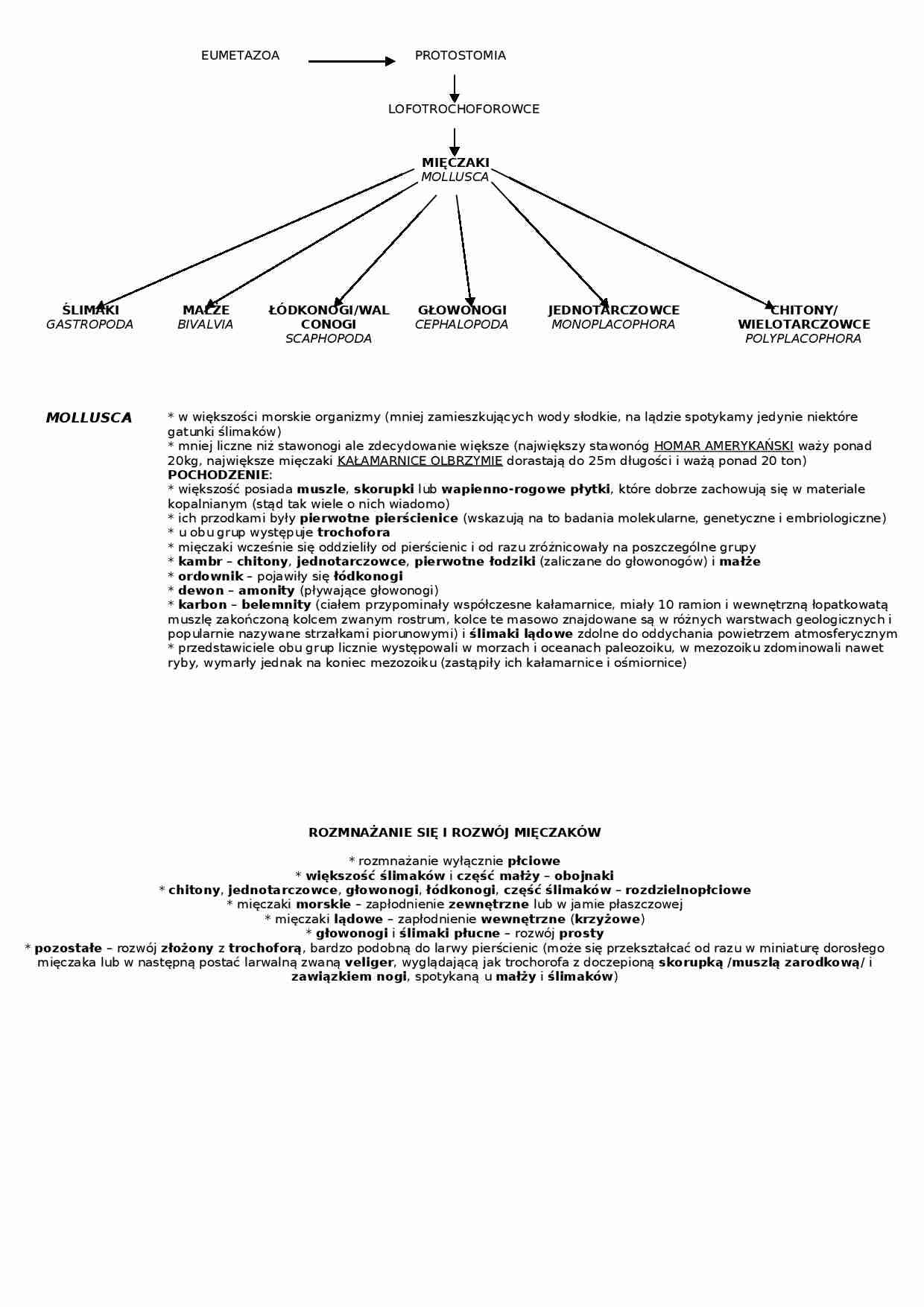 Mięczaki - omówienie  - strona 1