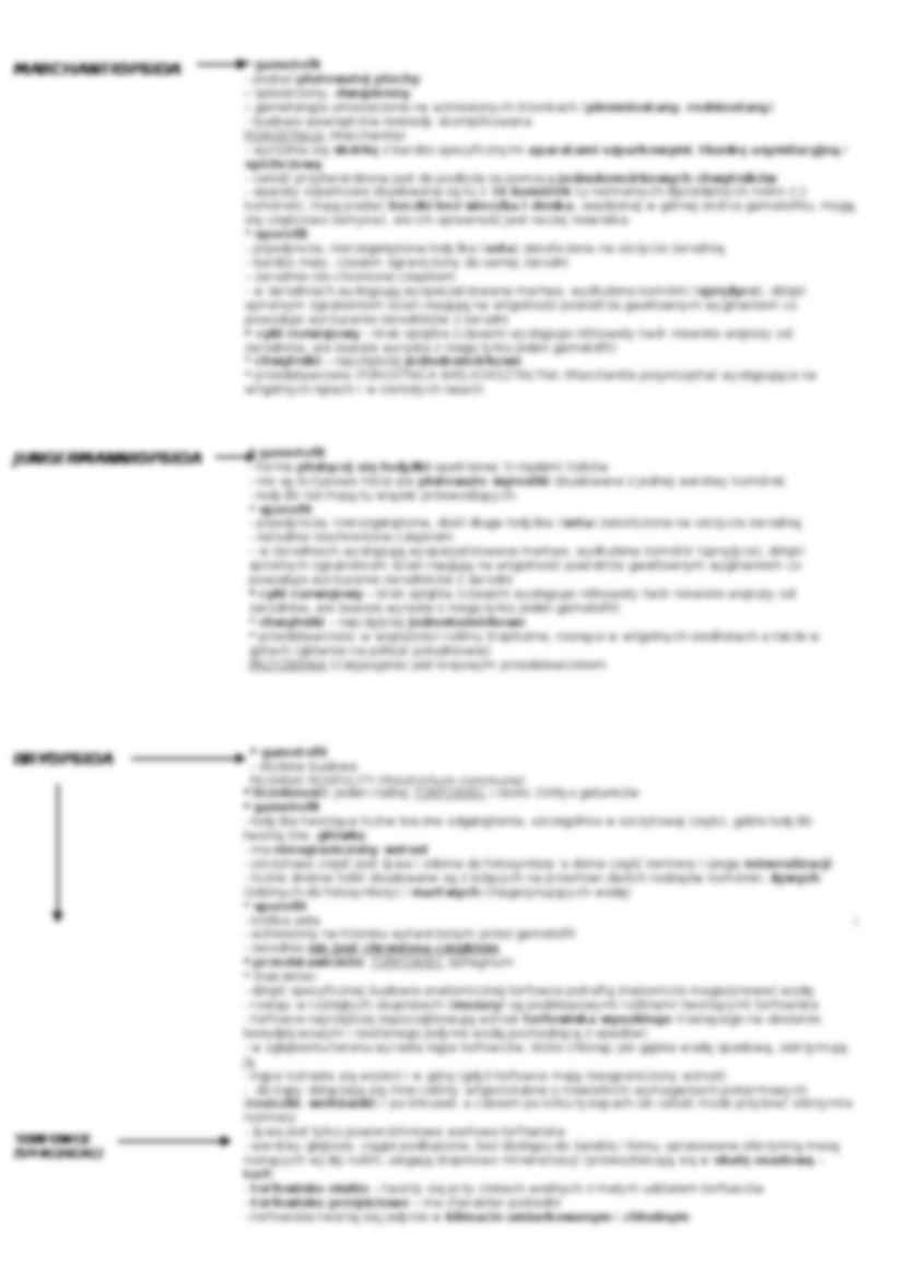 Mszaki - omówienie  - strona 2