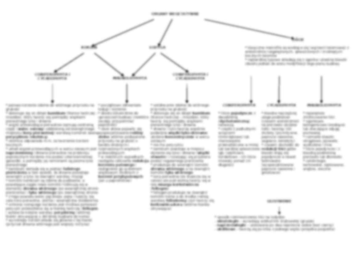 Rośliny nasienne - omówienie - strona 2
