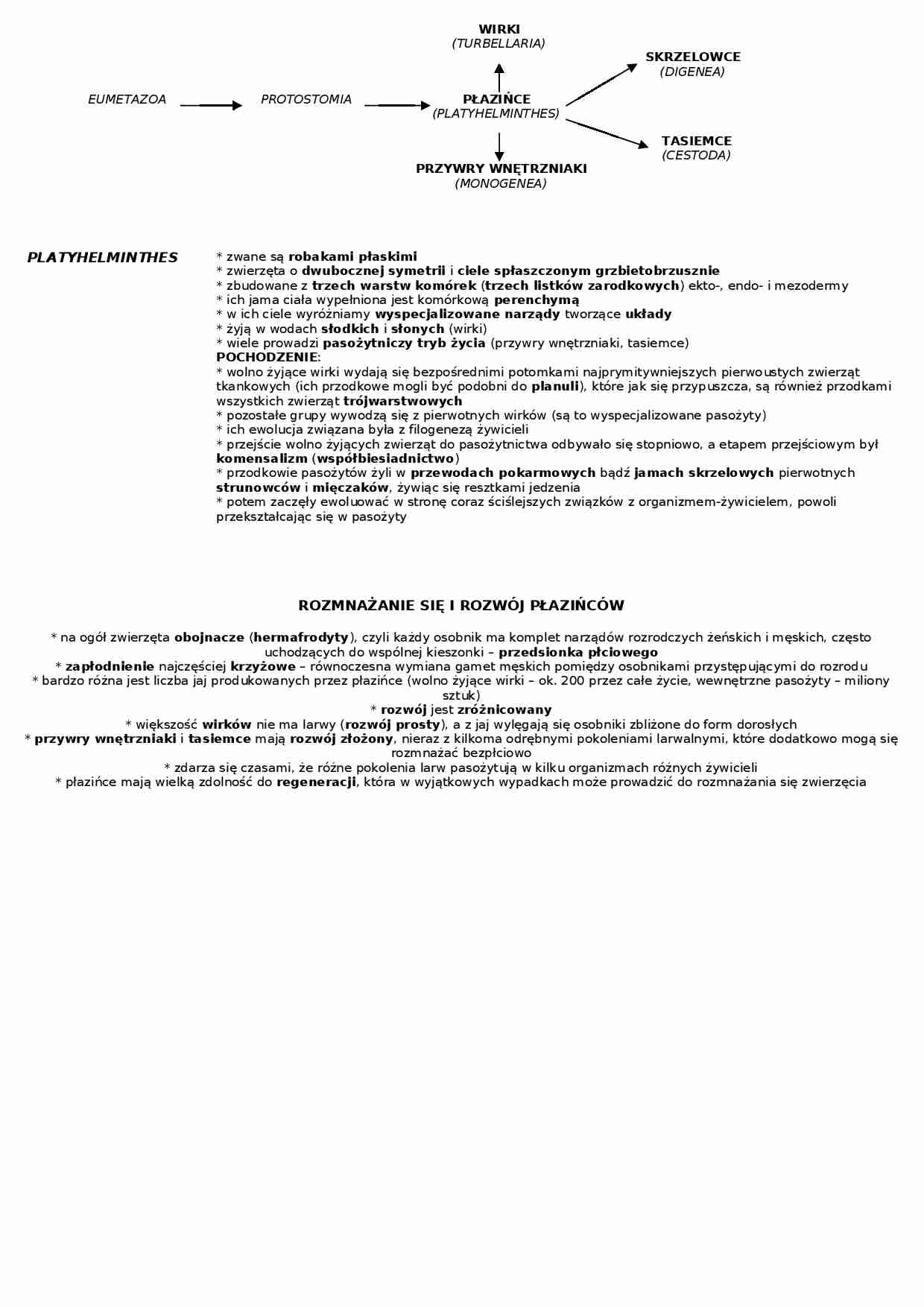 Płazińce - omówienie  - strona 1