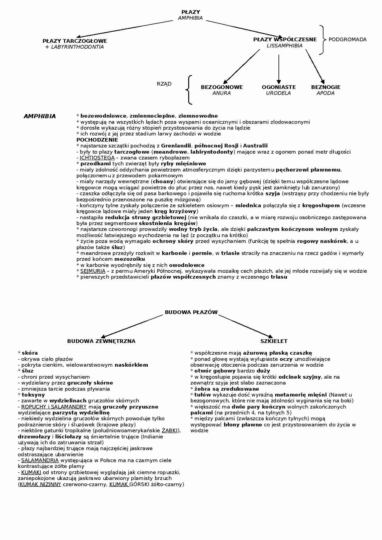 Płazy - omówienie  - strona 1