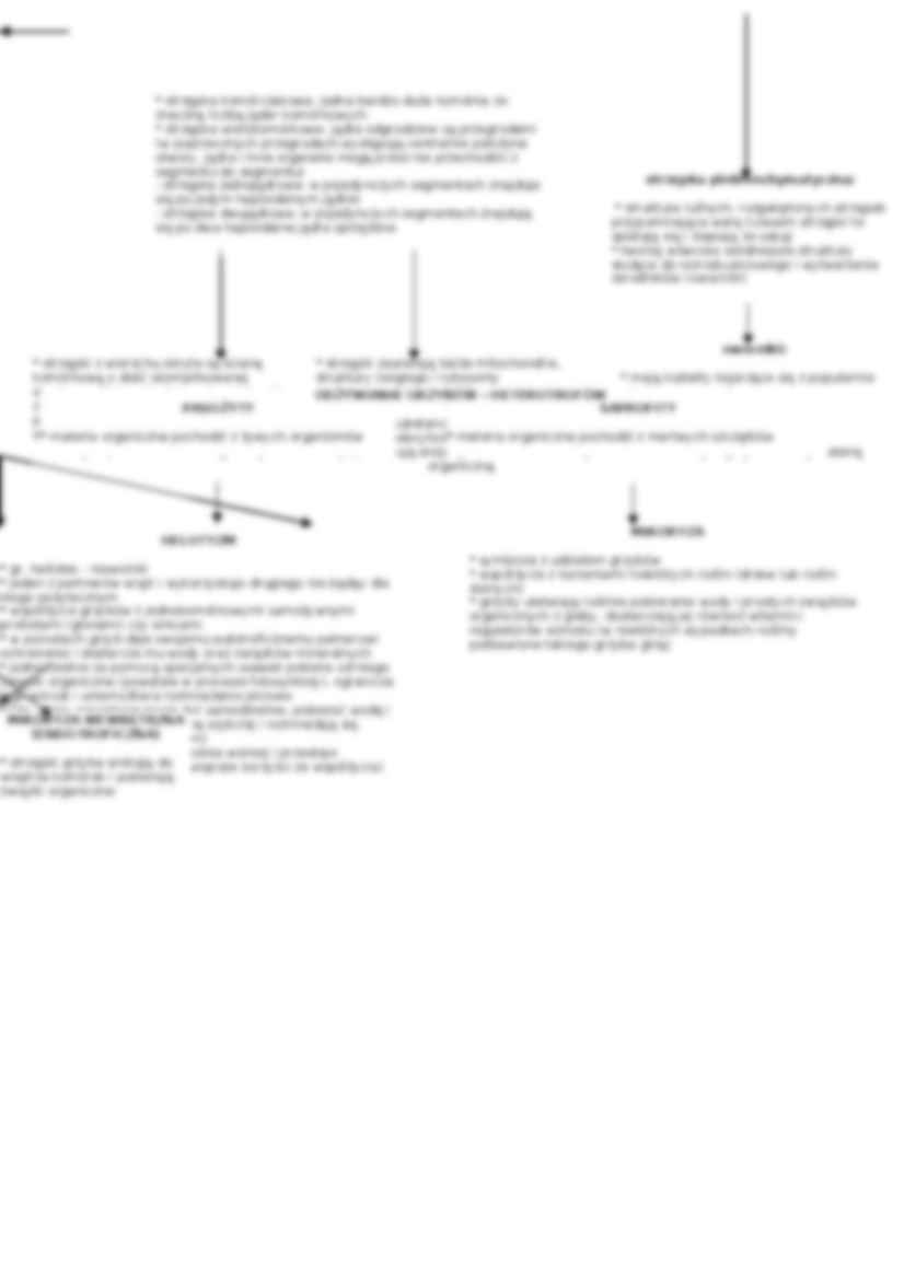 Grzyby - omówienie  - strona 2