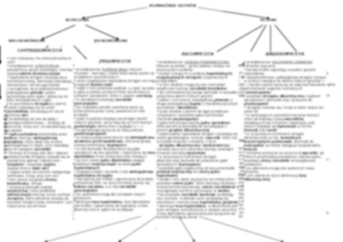 Grzyby - omówienie  - strona 3