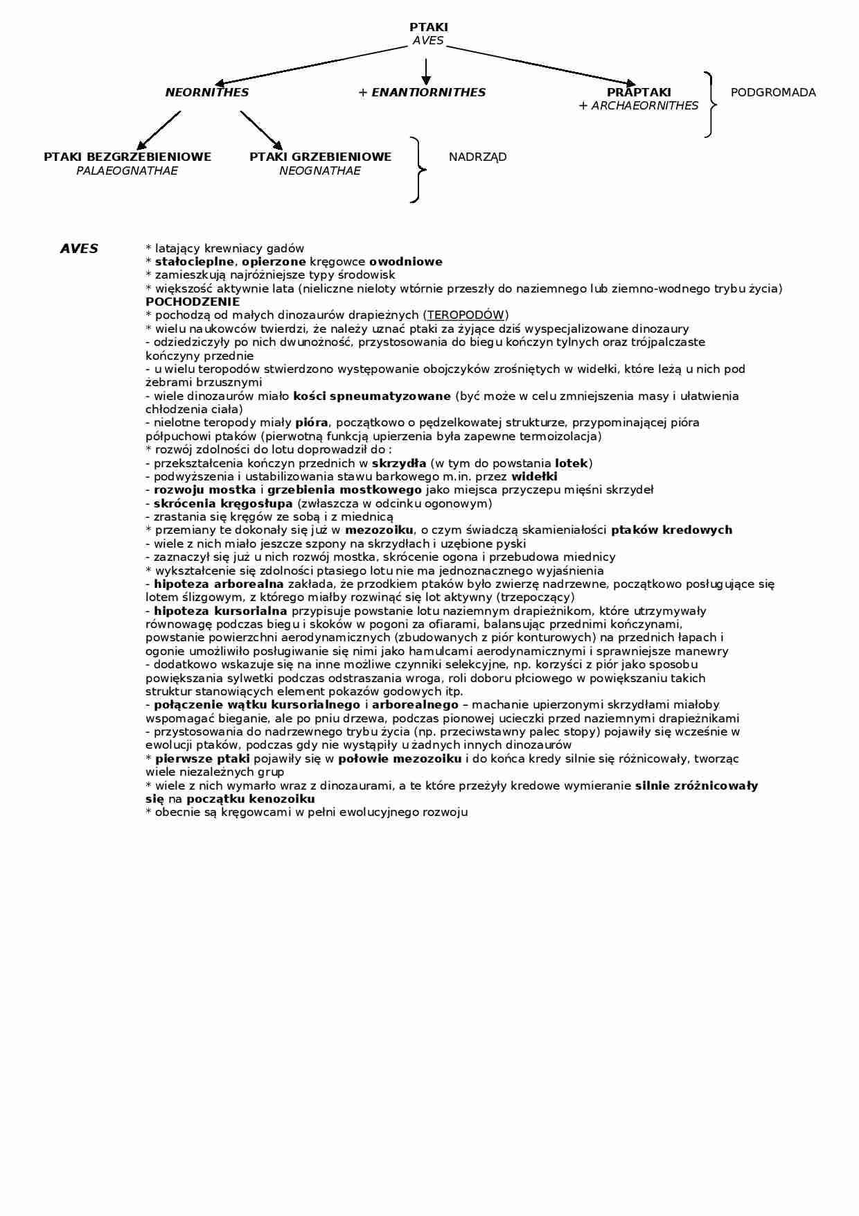Ptaki - omówienie  - strona 1