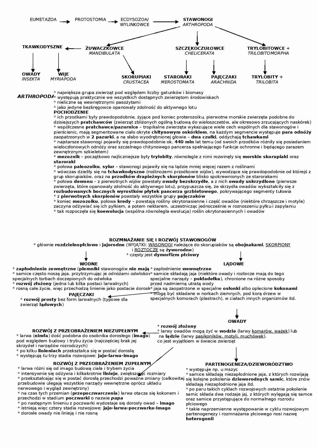 Stawonogi - omówienie  - strona 1