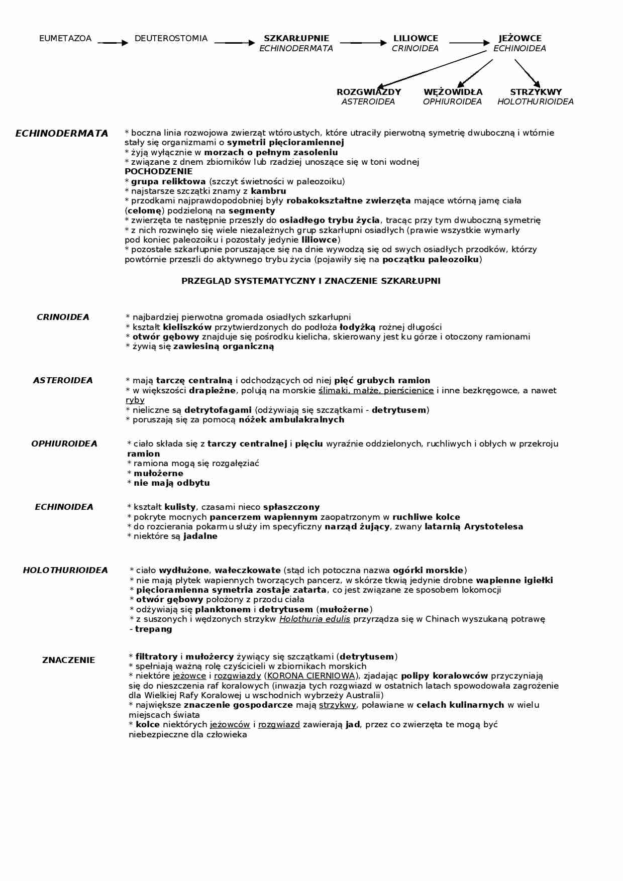Szkarłupnie - omówienie  - strona 1