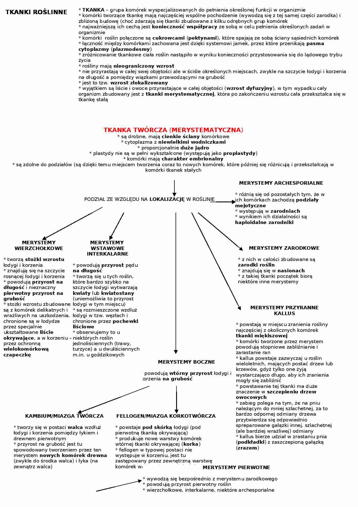Tkanki roślinne - omówienie  - strona 1