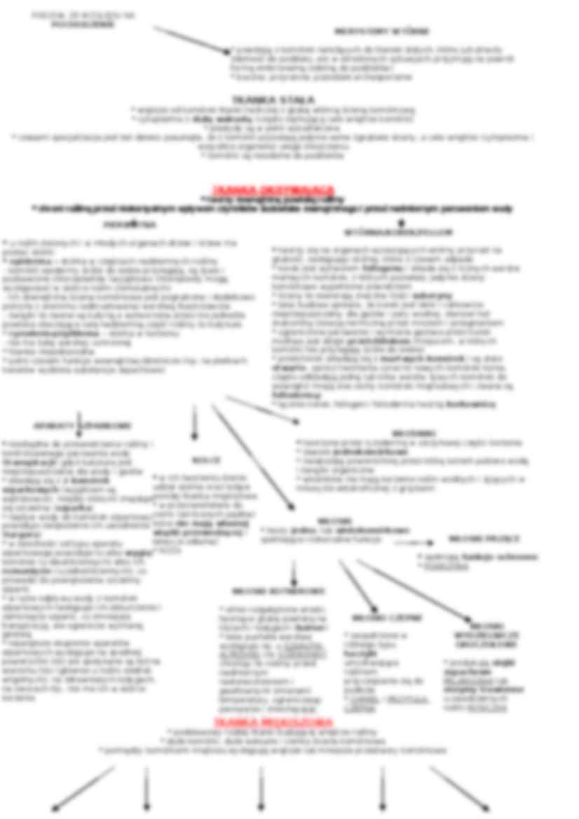 Tkanki roślinne - omówienie  - strona 2