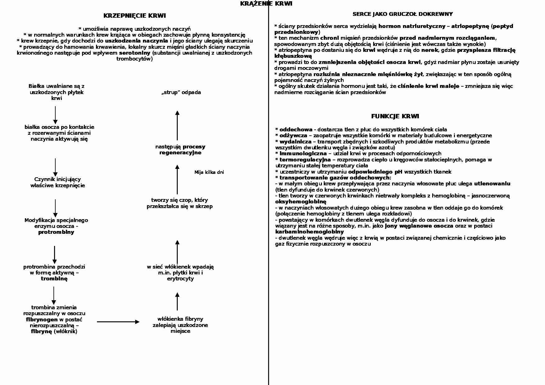 Układ krążenia - grupa krwi - omówienie - strona 1
