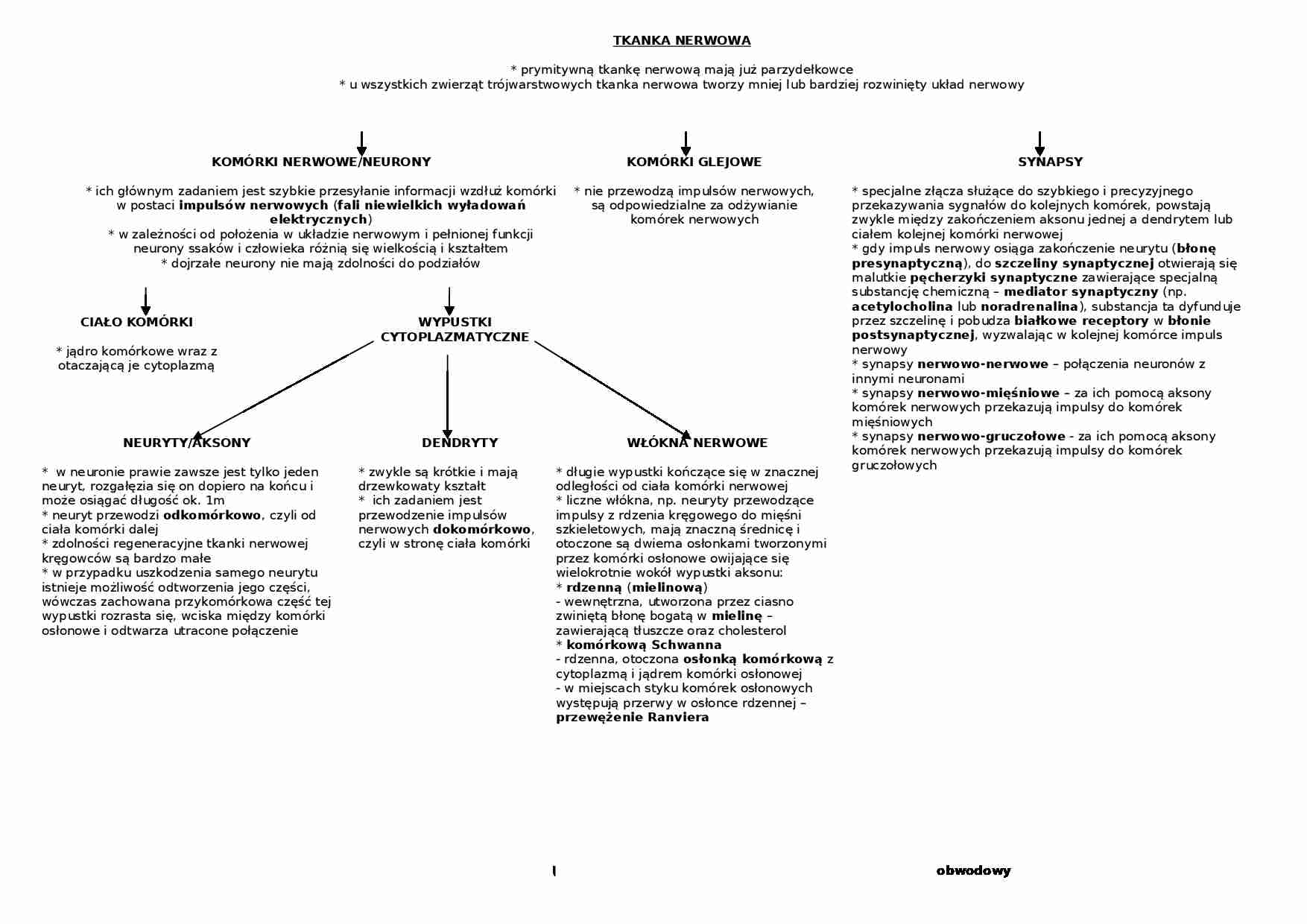Układ nerwowy - tkanka  nerwowa i układ ruchu  - strona 1
