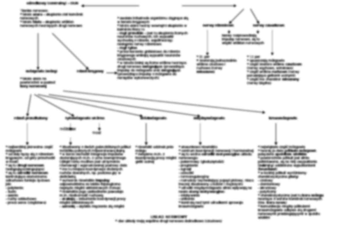 Układ nerwowy - tkanka  nerwowa i układ ruchu  - strona 2