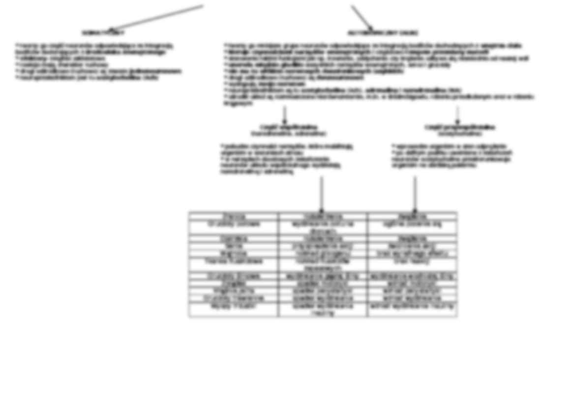 Układ nerwowy - tkanka  nerwowa i układ ruchu  - strona 3
