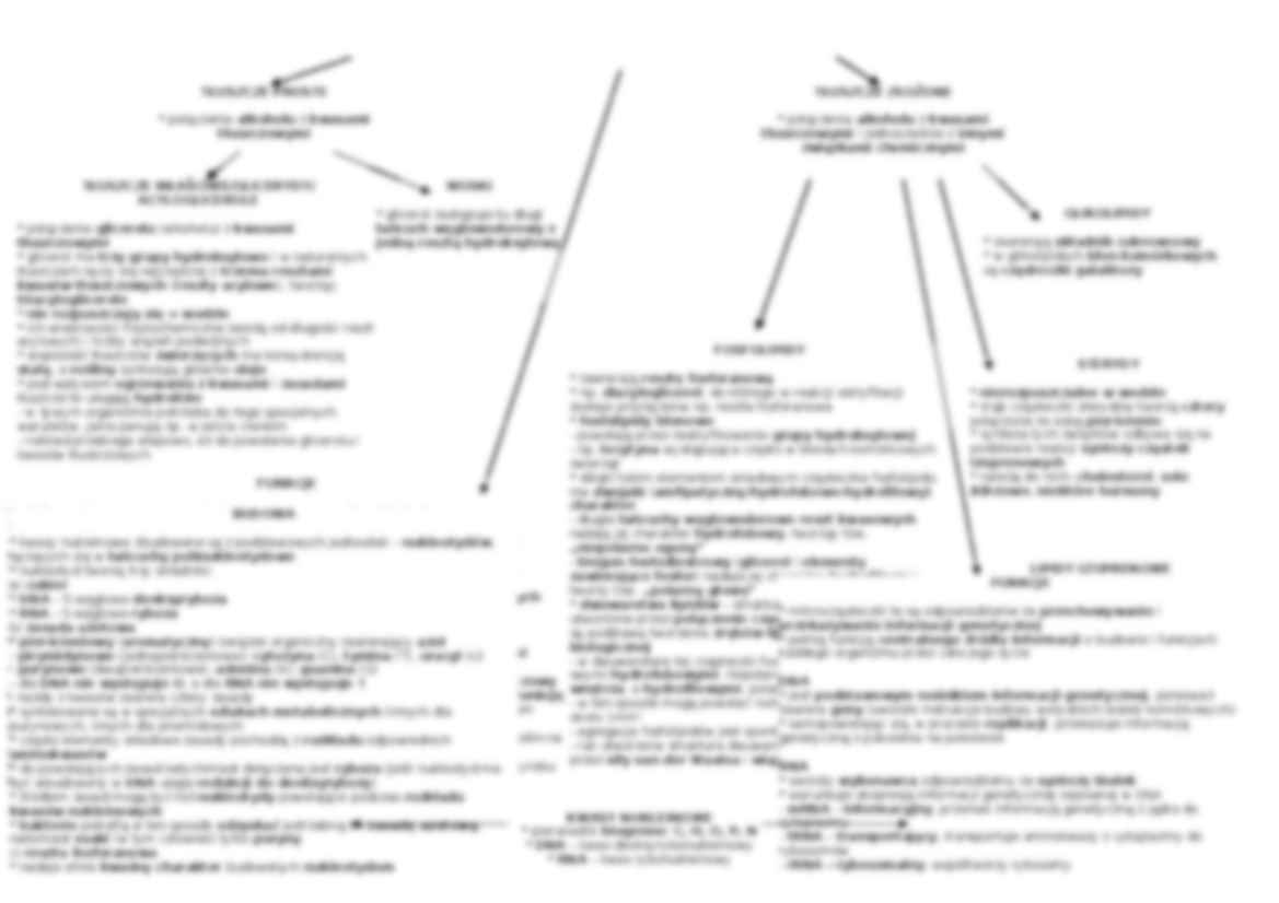 Związki organiczne komórki - cukry i tłuszcze - strona 2