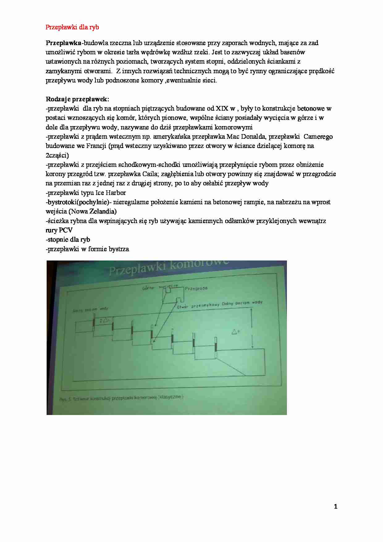 wykład Przepławki dla ryb - strona 1