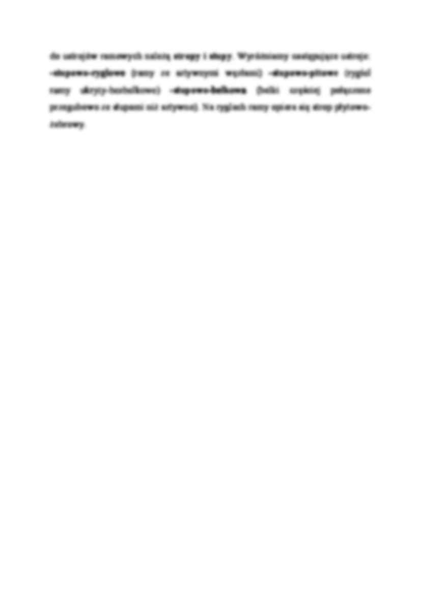 Elementy konstrukcyjne budynków ścianowych - omówienie  - strona 2
