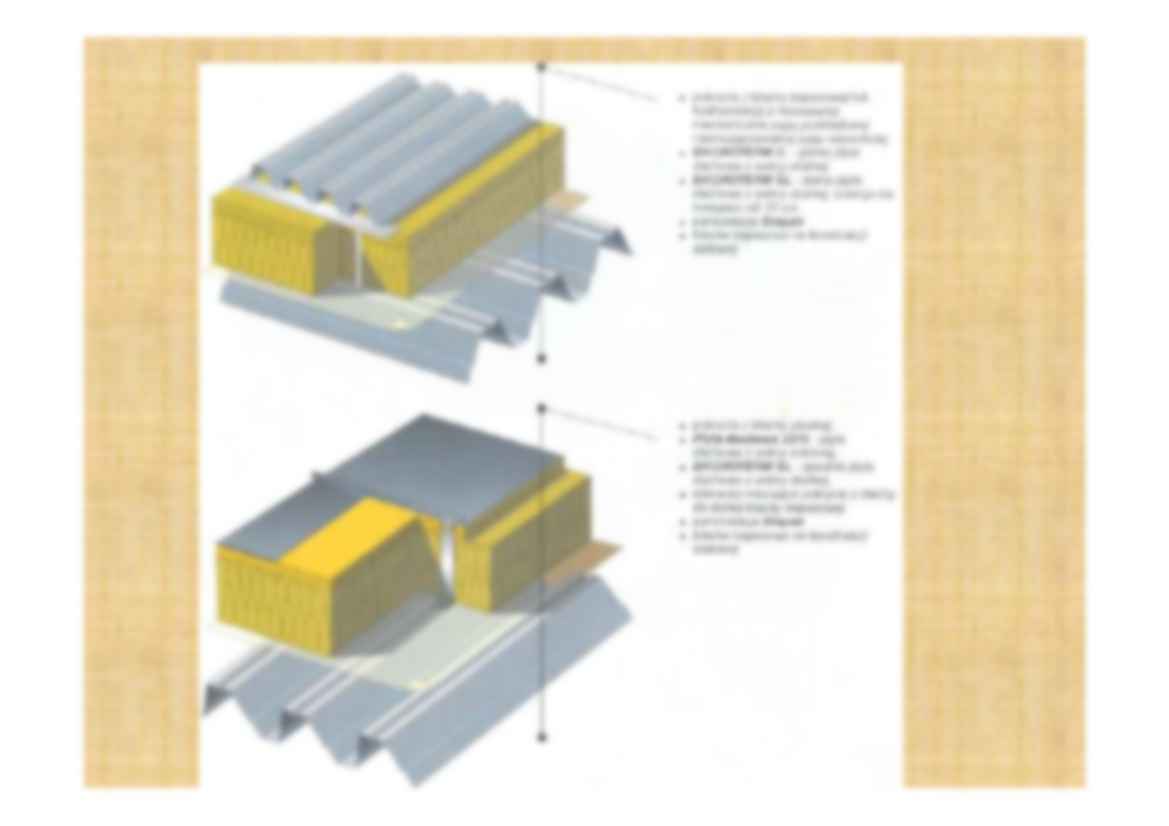 Stropodachy - omówienie - strona 3