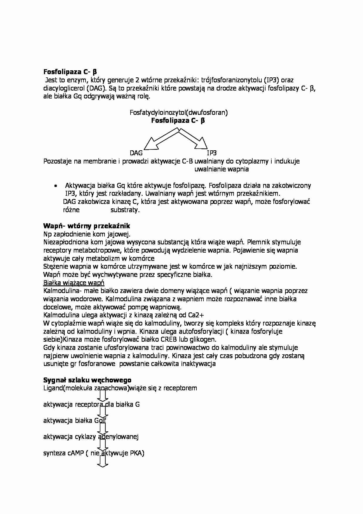 Wykład - wtórne przekaźniki - strona 1