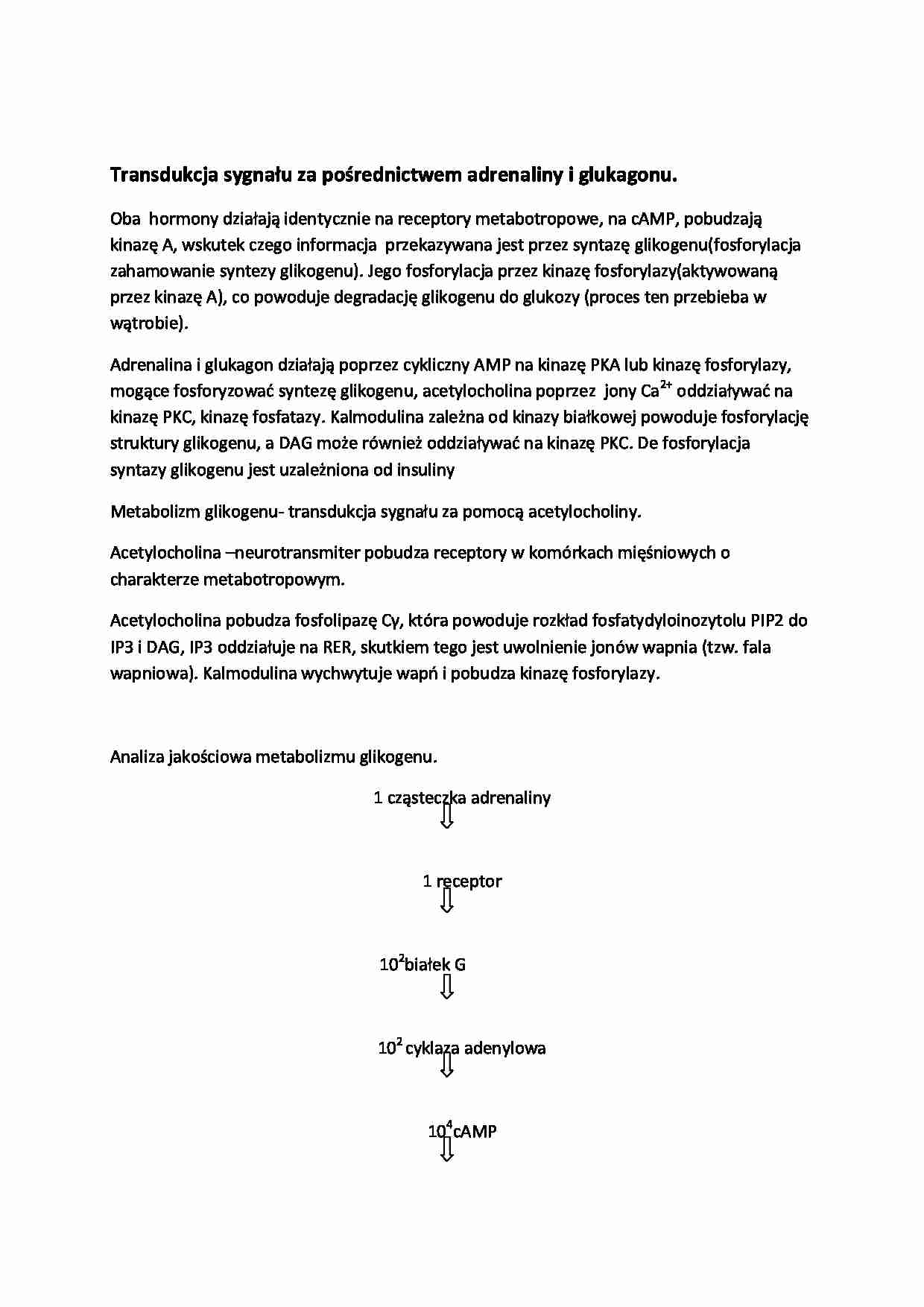 Wykład - adrenalina, glukagon - strona 1