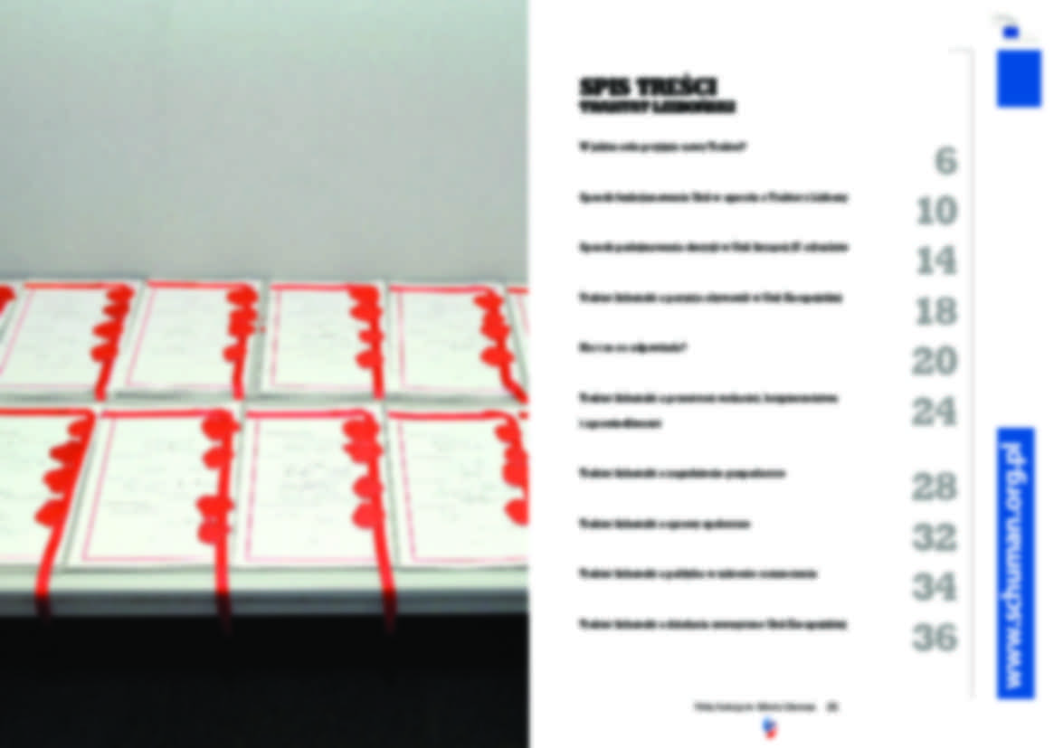 -Polska w Unii Europejskiej aspekty ekonomiczne - gazeta - strona 3