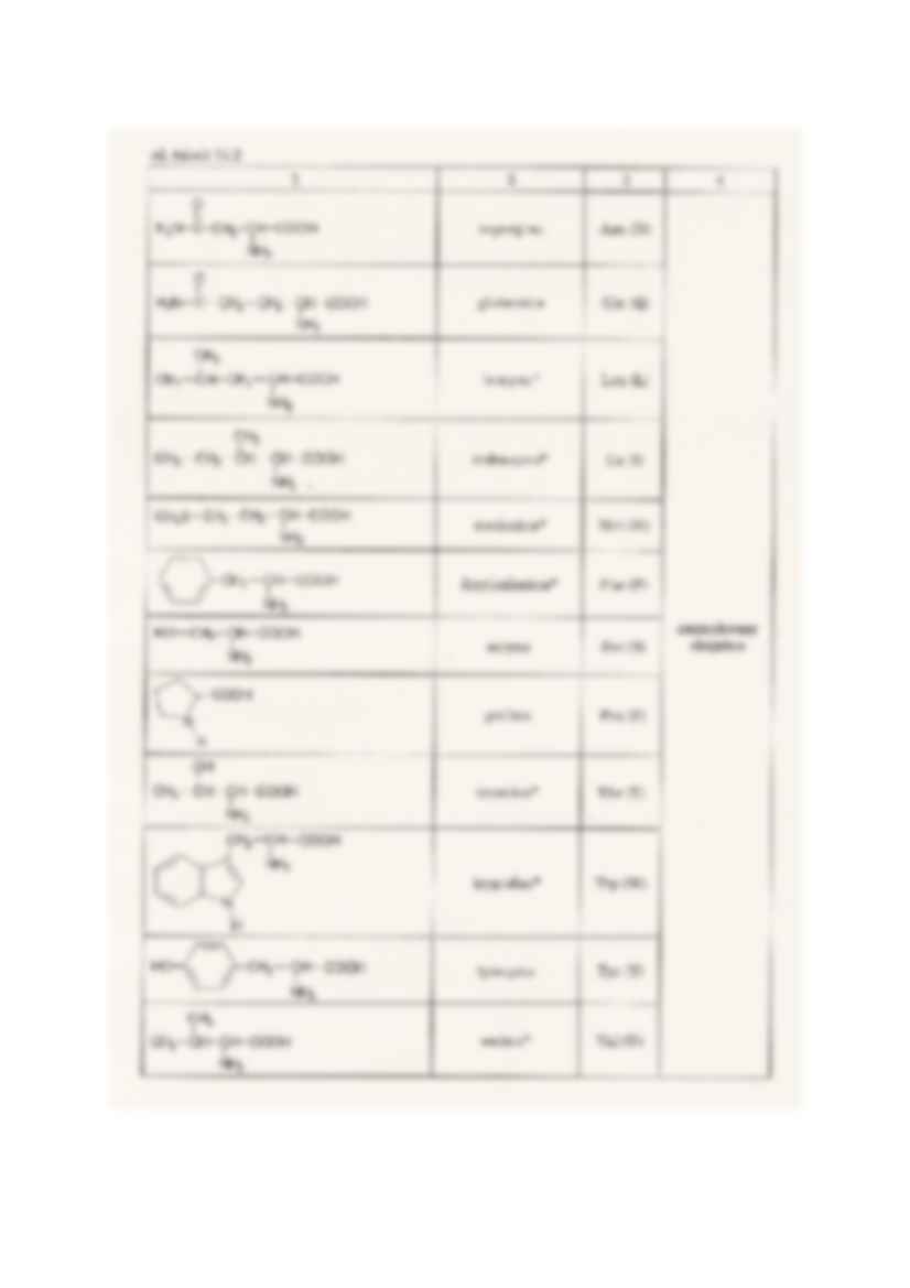 Aminokwasy, peptydy i białka - omówienie  - strona 2