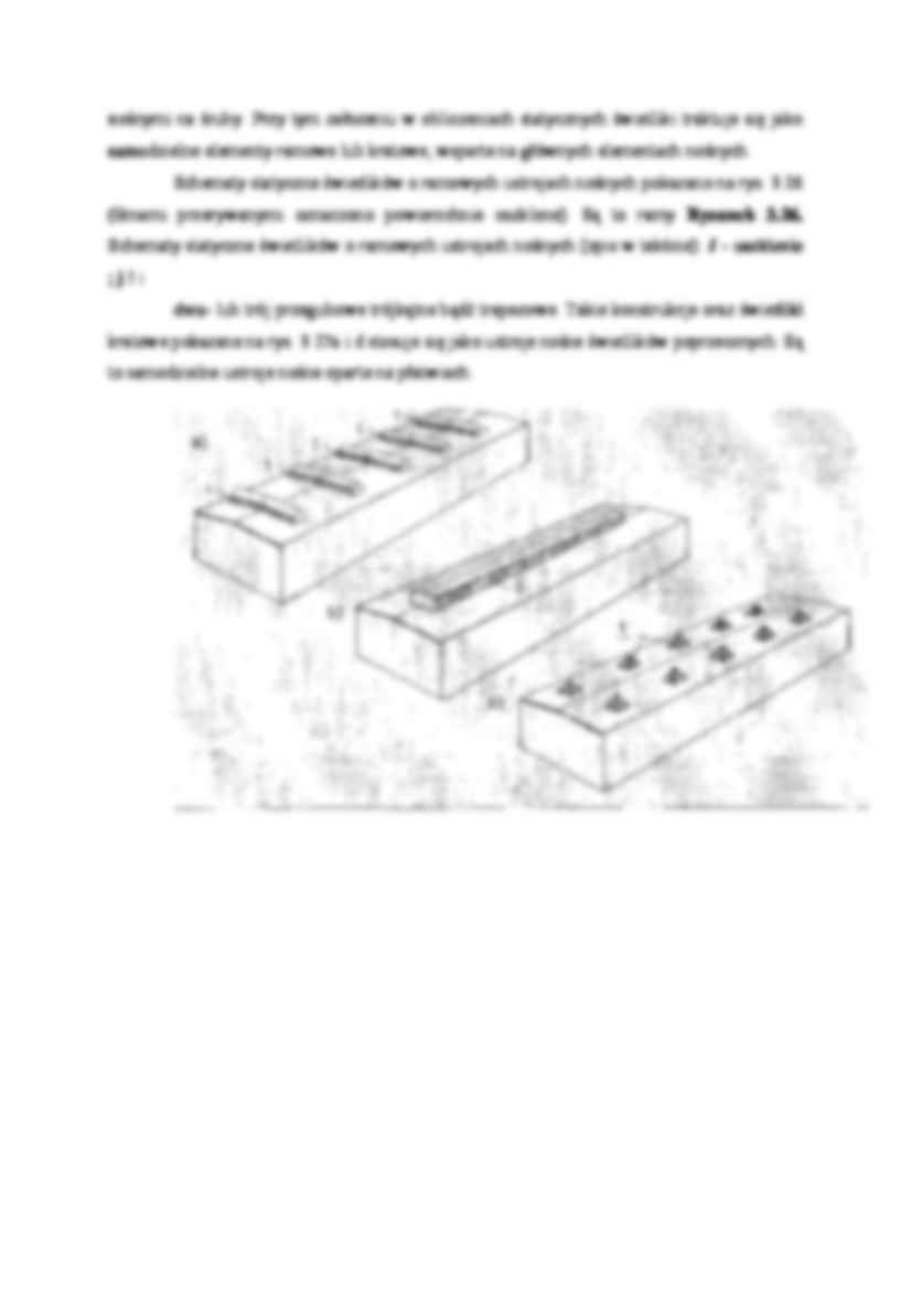 Świetliki - wykład - strona 2