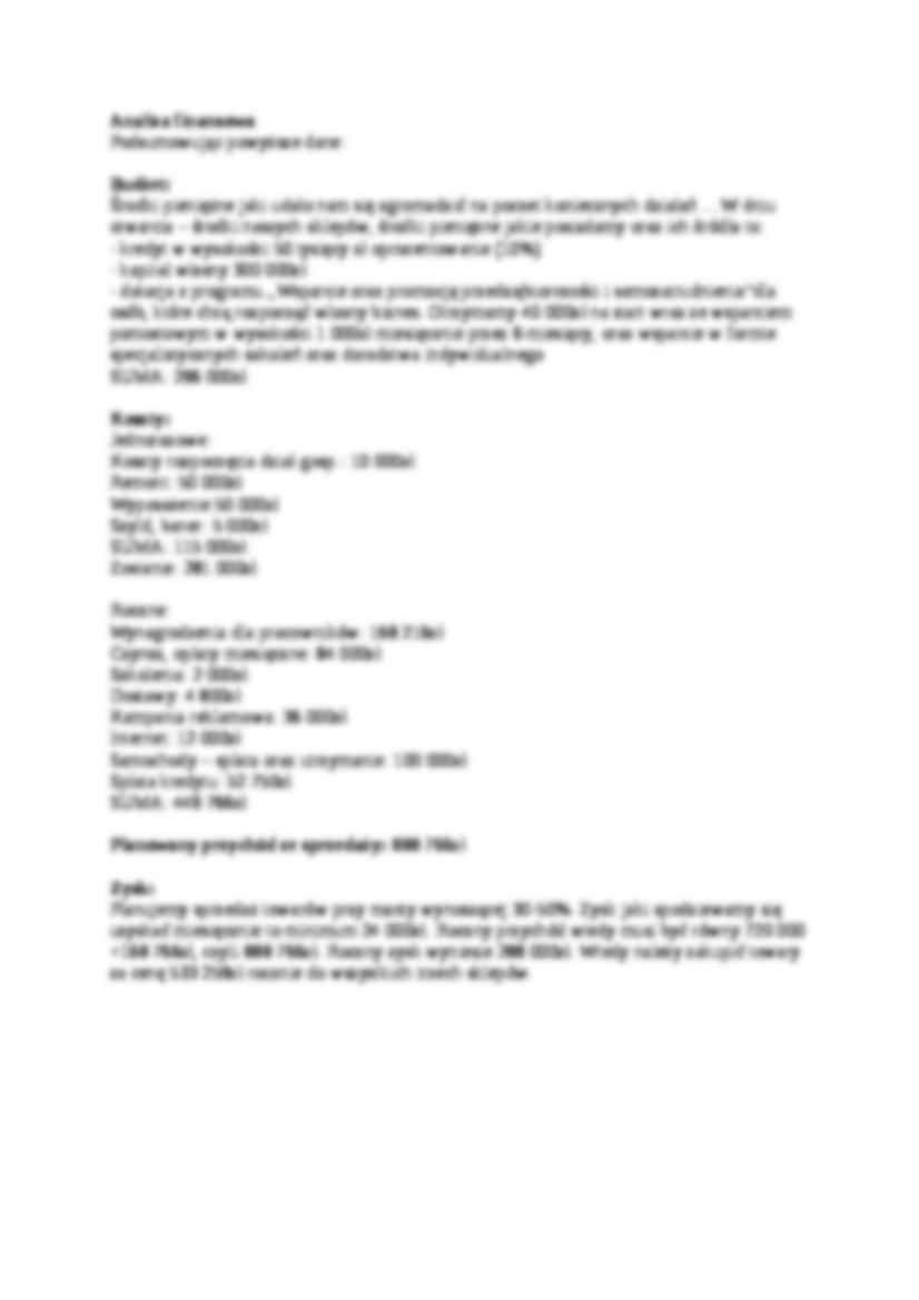 Plan działania i analiza finansowa-opracowanie - strona 3