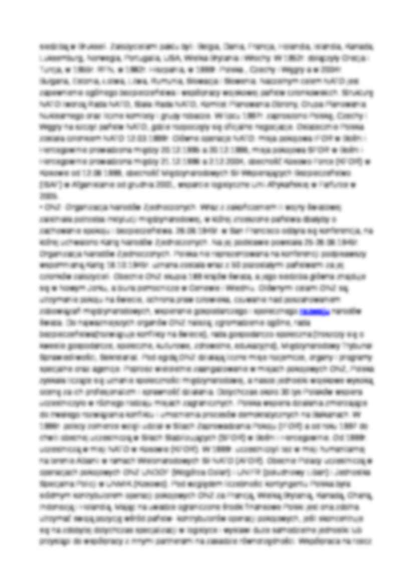Rola organizacji międzynarodowych-opracowanie - strona 3