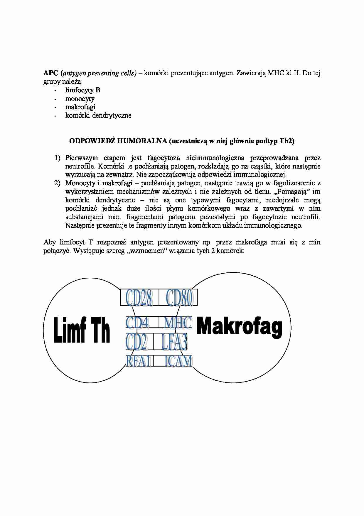 Odpowiedź humoralna - wykład - strona 1