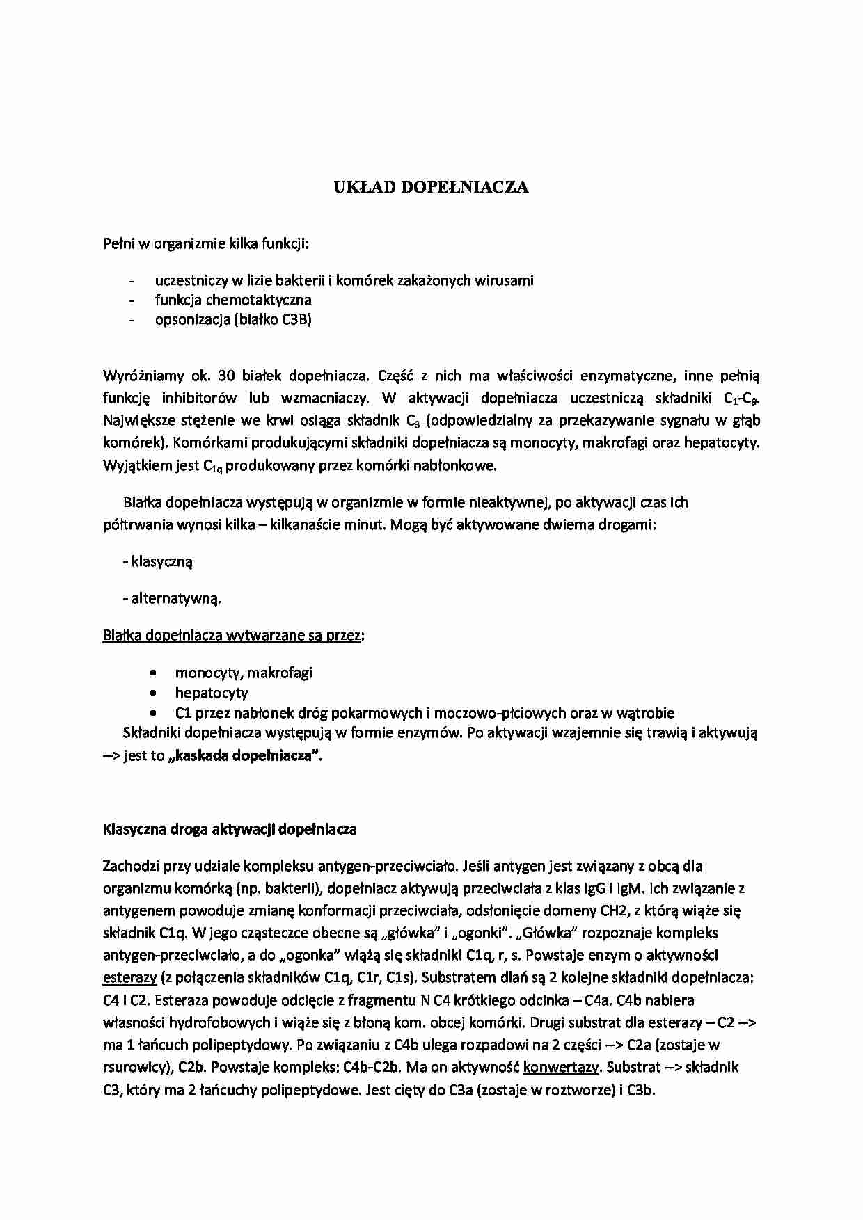 Układ dopełniacza - wykład - strona 1