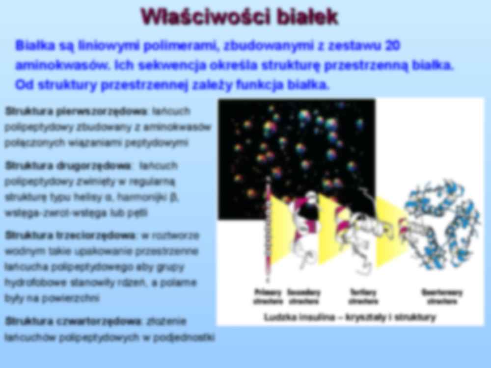 Skład i struktura białek-wykład - strona 2