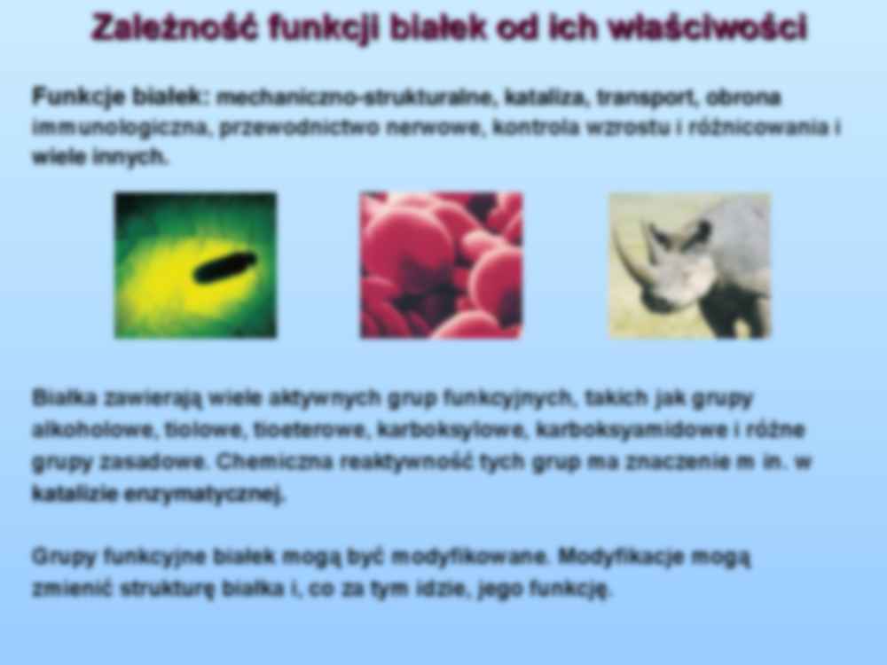 Skład i struktura białek-wykład - strona 3