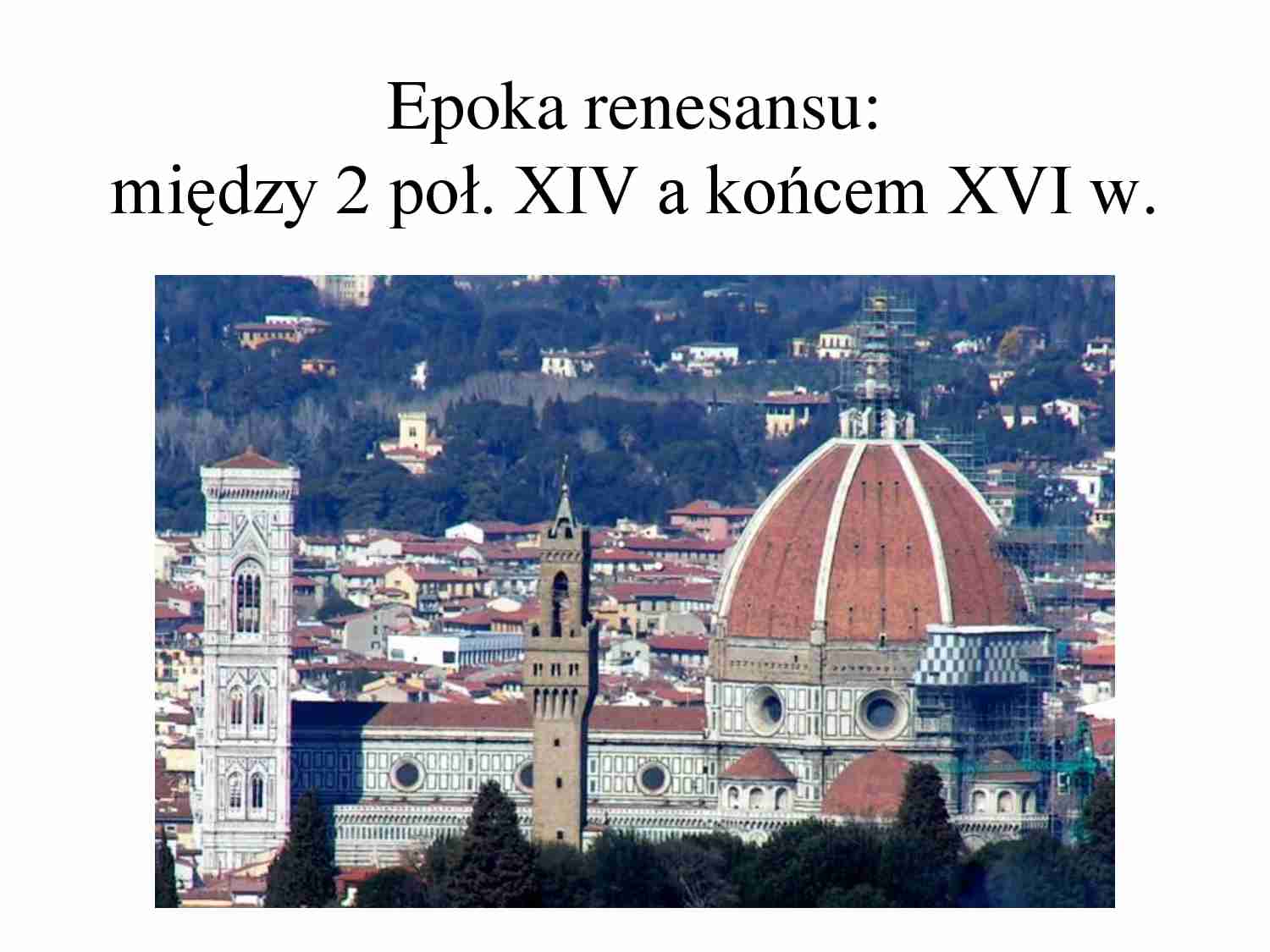 Morus-opracowanie - strona 1