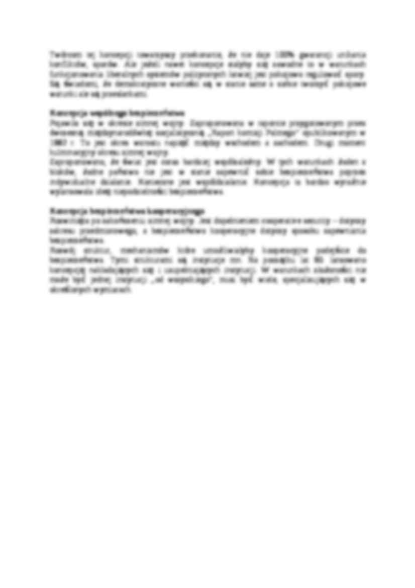 Koncepcje bezpieczeństwa międzynarodowego- opracowanie - strona 3