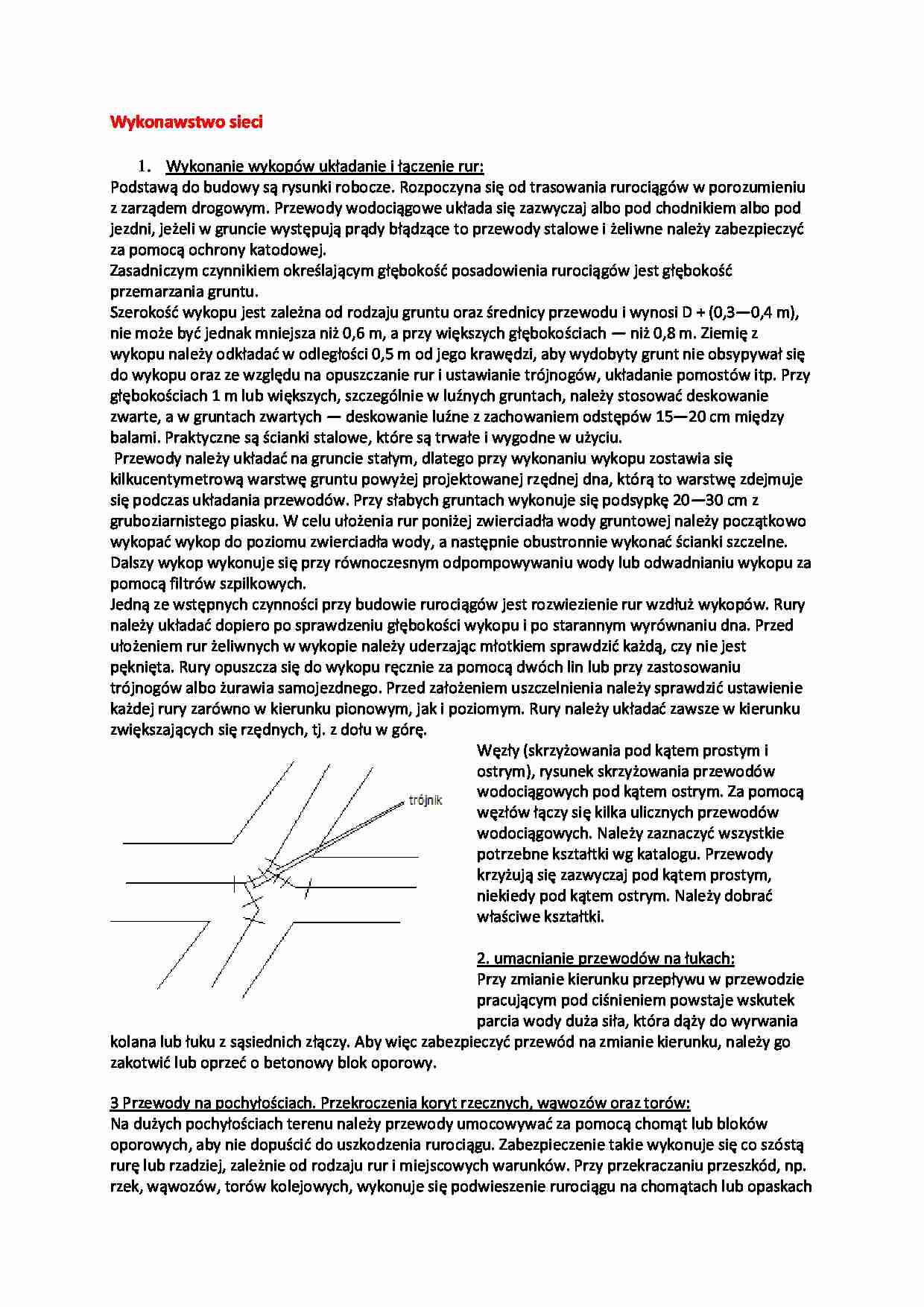 Wykonawstwo sieci-opracowanie - strona 1