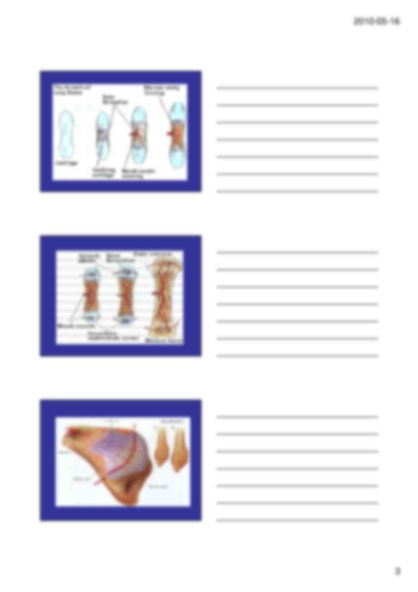 Staw biodrowy - strona 3