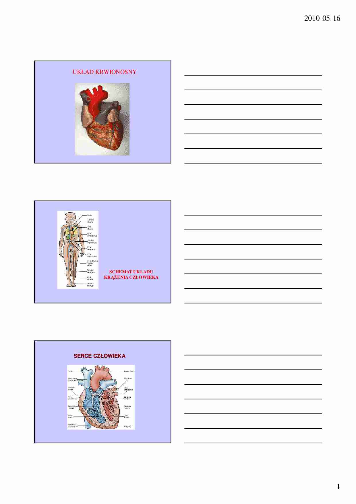 Serce, krwioobieg i wspomaganie pracy układu krążenia - strona 1