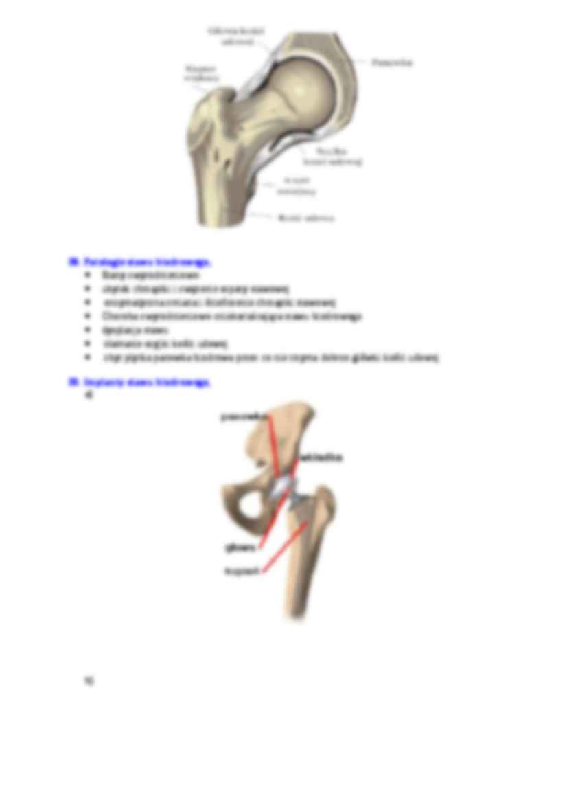 Zagadnienia z biomechaniki - strona 3