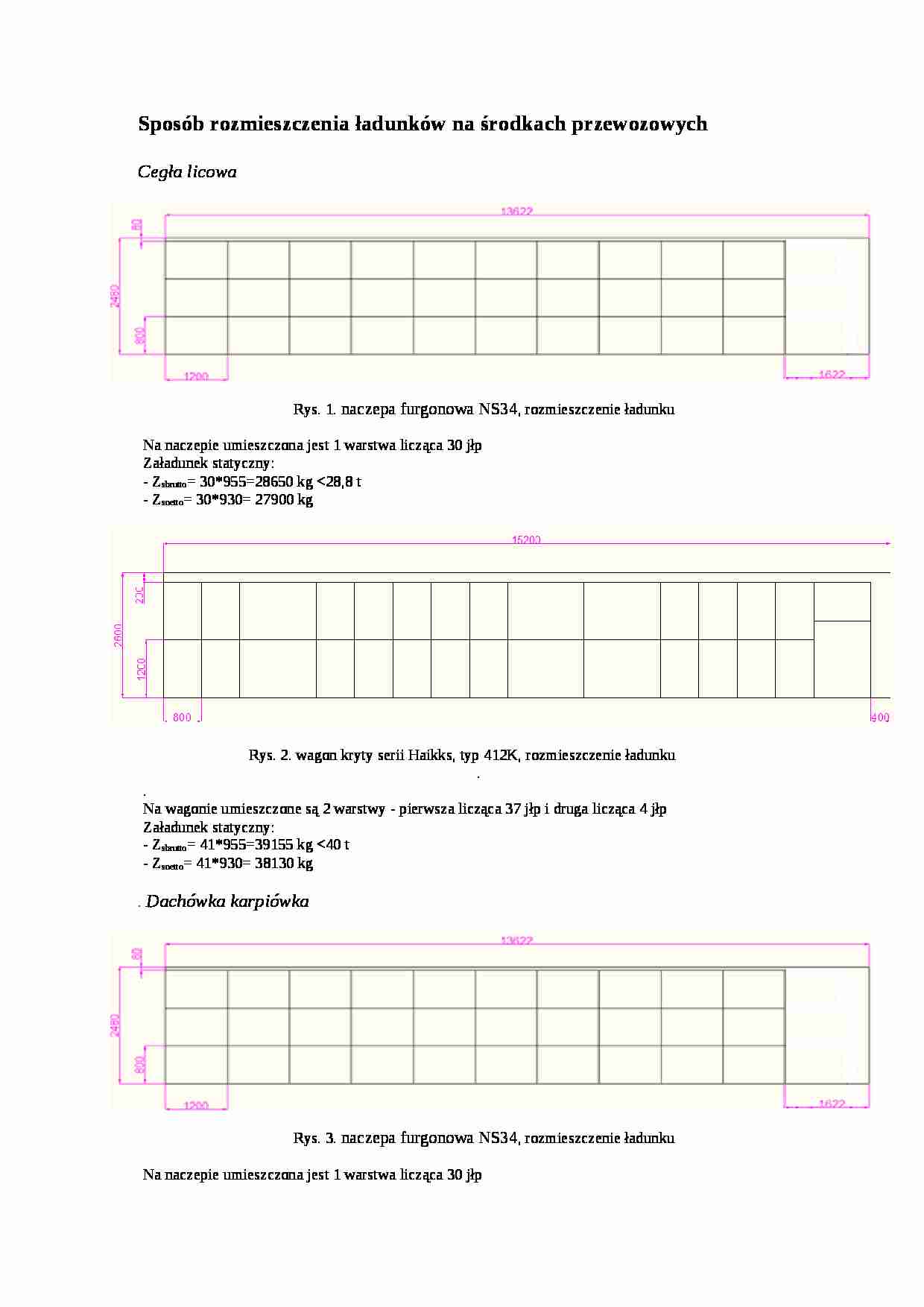 Sposób rozmieszczenia ładunków na środkach przewozowych - strona 1