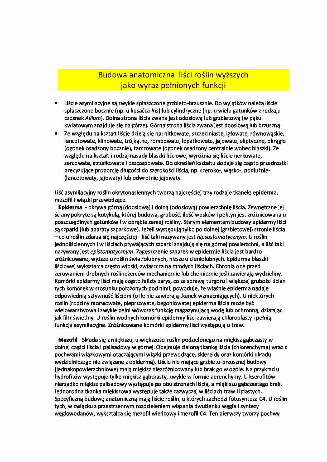 Budowa anatomiczna liści roślin wyższych jako wyraz pełnionych funkcji - strona 1