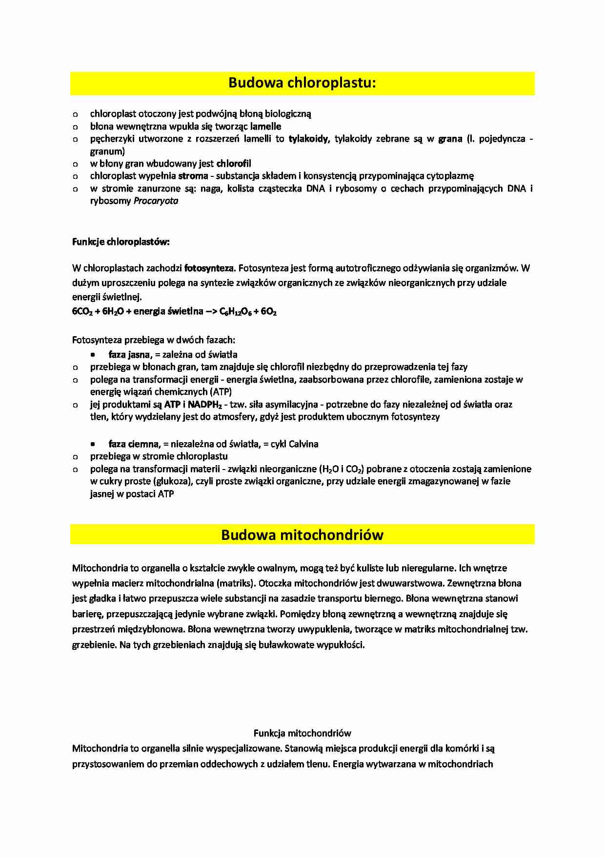Budowa chloroplastu - wykład - strona 1