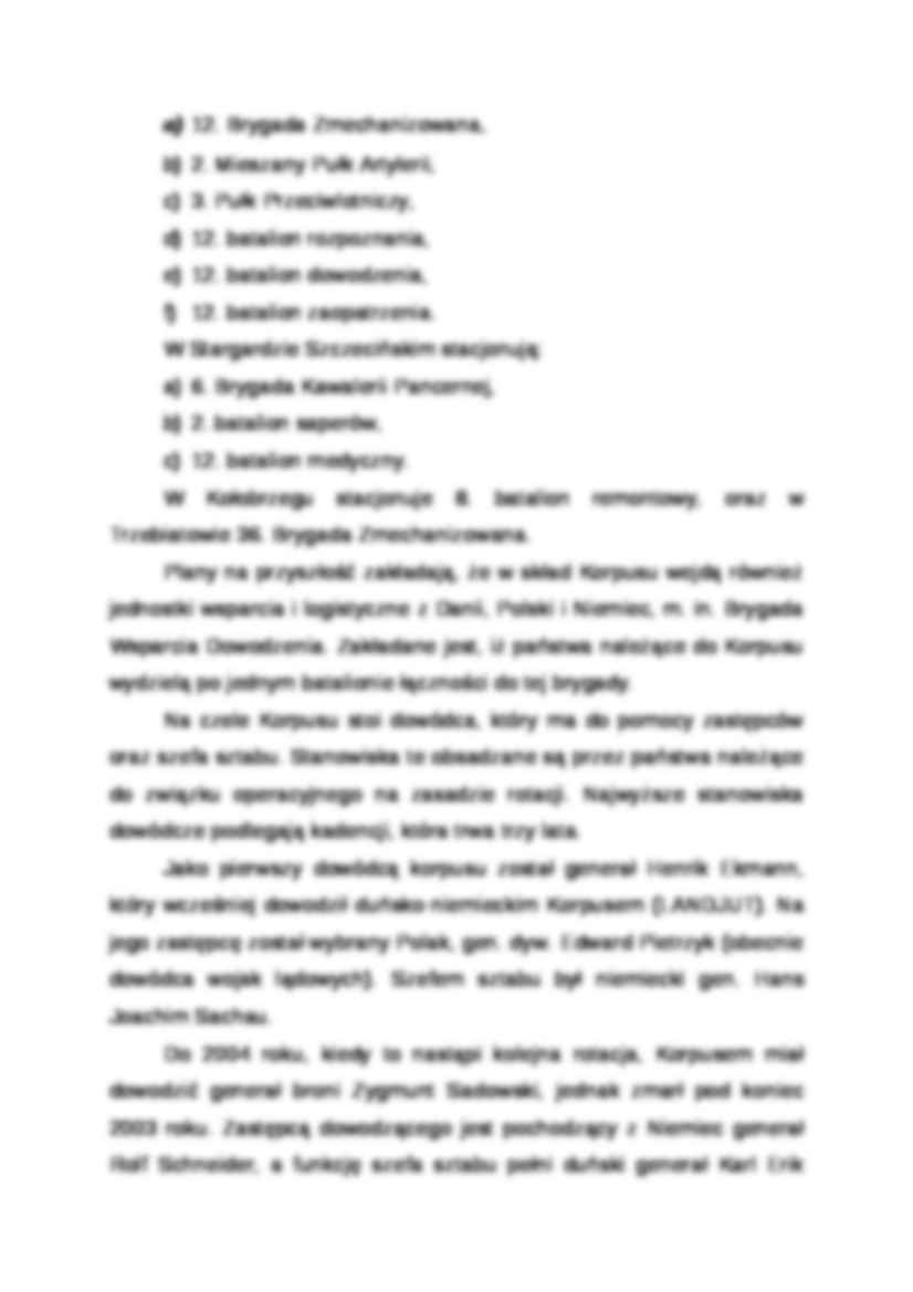 Referat - wielonarodowy korpus - strona 3