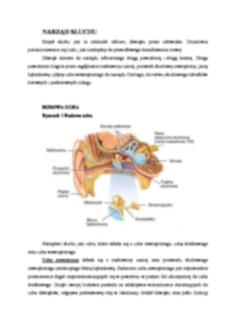 Dźwięki, narząd słuchu oraz charakterystyka - strona 2